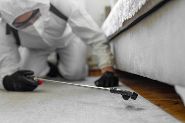 Professional Bed Bug Control technician working in Troy, AL
